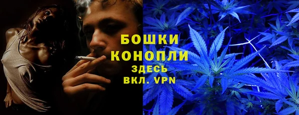 прущие крисы Алзамай