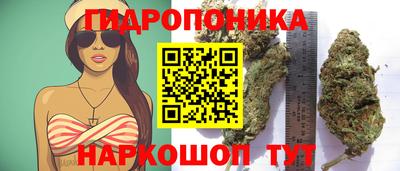наркотики Ставрополь