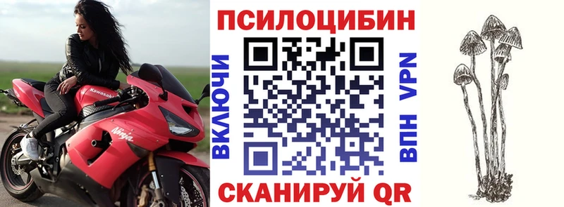 Галлюциногенные грибы GOLDEN TEACHER Строитель