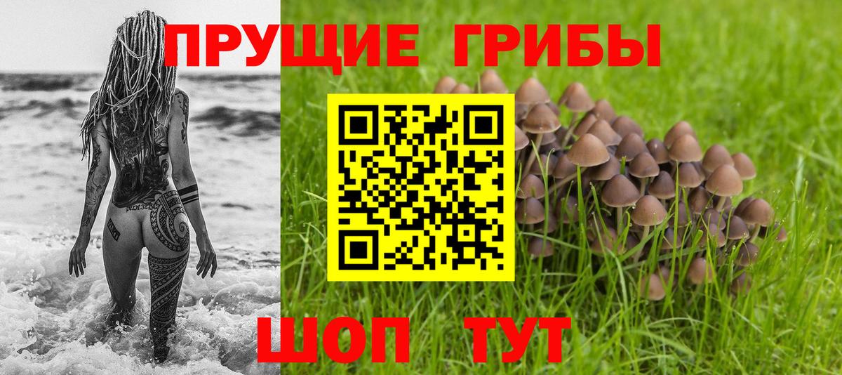 Псилоцибиновые грибы прущие грибы  Вход с VPN  Строитель 
